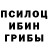 Псилоцибиновые грибы Psilocybine cubensis Filete Mignonette