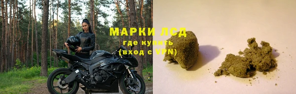 спиды Арсеньев