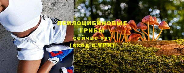 СК Армянск
